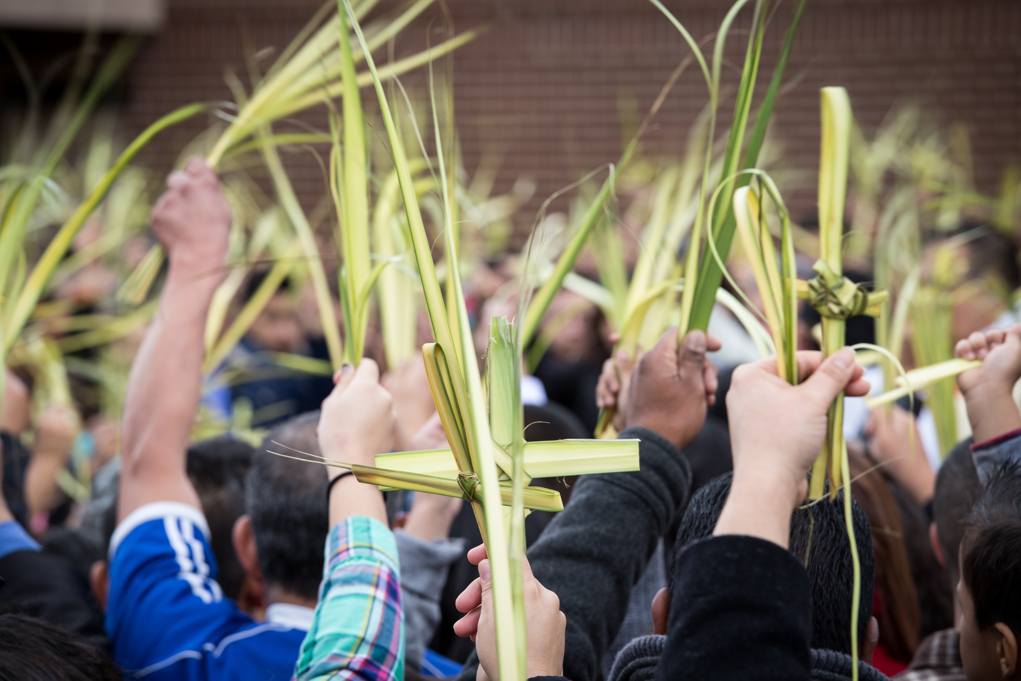 25 things for your kids to spot during Palm Sunday and Triduum