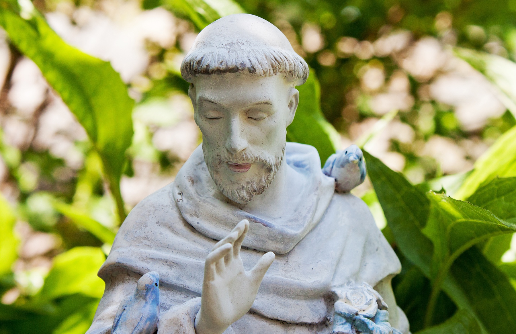 Canticle of the Sun: Prayer of St Francis of